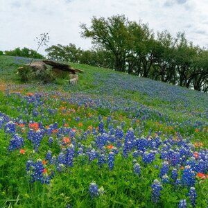 Meet your Posher, Valorpow